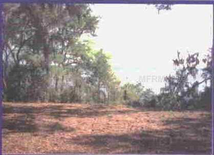 Cross Country Blvd, Altoona, FL 32702