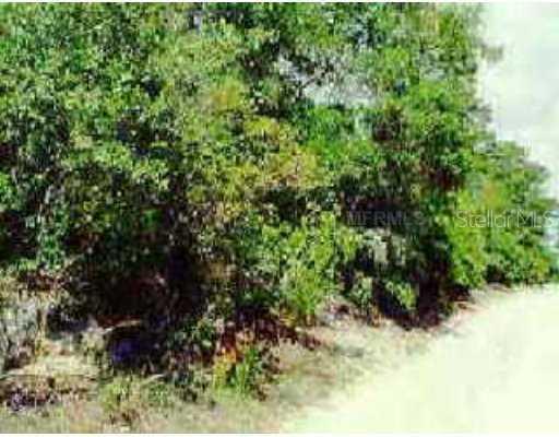 Autumn Mist Road, Eustis, FL 32736