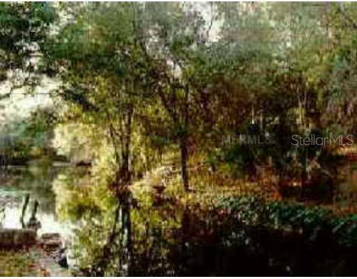 Magnolia Avenue, Leesburg, FL 34748