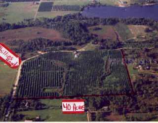 11501 Phillips Rd., Groveland, FL 34736