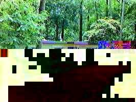 425 NW 37th Ave, Gainesville, FL 99999
