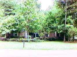 5531 SW 88th Court, Gainesville, FL 99999