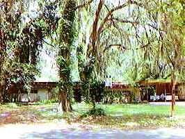 4332 SW Clearlake Drive, Gainesville, FL 99999