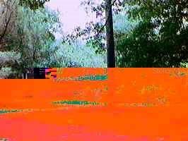 530 NE 8th Terrace Ter., Gainesville, FL 99999