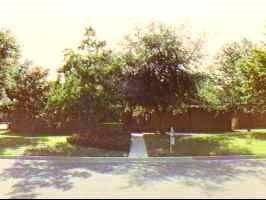 2932 NW 25 Ter., Gainesville, FL 32605