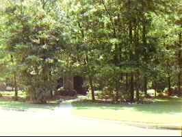 5247 NW 43rd Lane, Gainesville, FL 99999