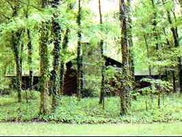 5717 NW 67th Ct, Gainesville, FL 99999
