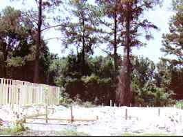 2931 SW 40th Ave, Gainesville, FL 99999