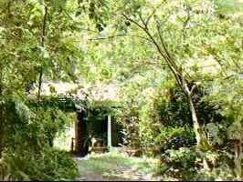 716 NW 11th Avenue, Gainesville, FL 99999