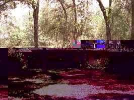 4306 SW 5th Avenue, Gainesville, FL 99999