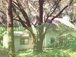 13622 S Us 441, Gainesville, FL 99999