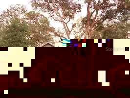 4125 NW 34th Dr Dr., Gainesville, FL 99999