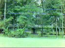 402 SW 80th Blvd, Gainesville, FL 99999