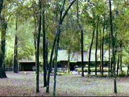 12215 SW 154th St, Gainesville, FL 99999