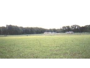 NW 19th Terr, Other, FL 32643