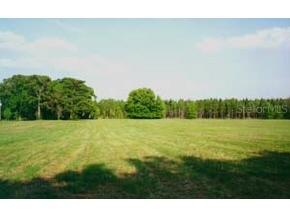 NE N.e.110th Ave., Other, FL 32621