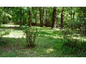 25 NW 91st St., Gainesville, FL 32607