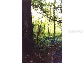 1515 NW 9th Avenue, Gainesville, FL 32601