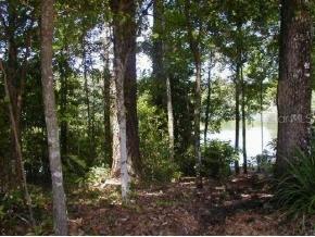 NW Off Nw 57th Terr, Gainesville, FL 32606