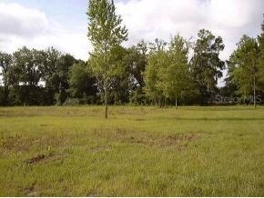 NW 175th Ave, Other, FL 32615
