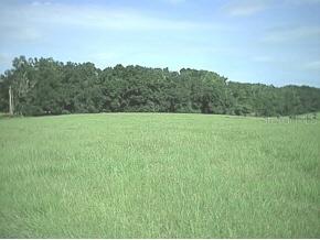 NW Cr1491, Alachua, FL 32615