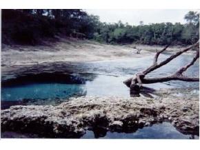 9 County Rd 248, Other, FL 32008