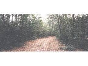 5504 SE 8th Ave, Gainesville, FL 32601