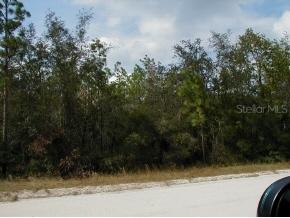 000 SW 250 St., Newberry, FL 32669