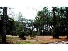 1001 N University Ave, Archer, FL 32618