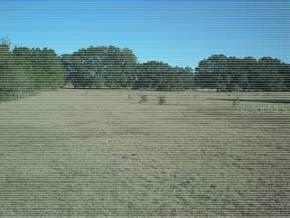 SW 226th Street, Newberry, FL 32669