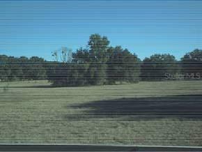 SW 226th St, Newberry, FL 32669