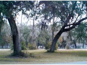 13607 SW 66 Terrace, Gainesville, FL 32608