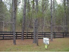 2216 NW 133 Terrace, Gainesville, FL 32606