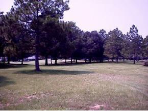 NW 106th Place, Alachua, FL 32615