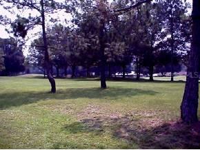 NW 106th Place, Alachua, FL 32615