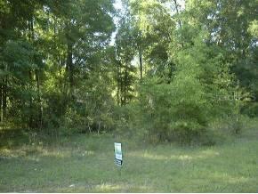NW Douglas Drive, High Springs, FL 32643