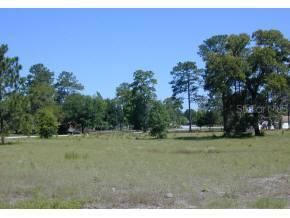 SW 81st Way, Gainesville, FL 32608
