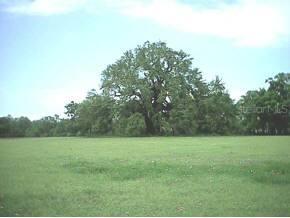 16002 NW Peggy Road, Alachua, FL 32615