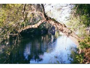 LOT 4 N 203rd Place, High Springs, FL 32643