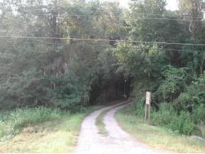 NE 67th Terr., Gainesville, FL 32627