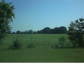 NW Cr 337 North, Newberry, FL 32669