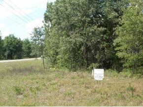 State Road 121 St., Williston, FL 32696