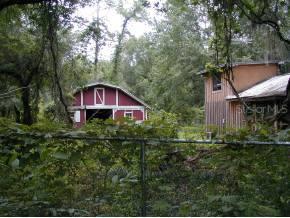 20431 NE 6th St, Gainesville, FL 32609