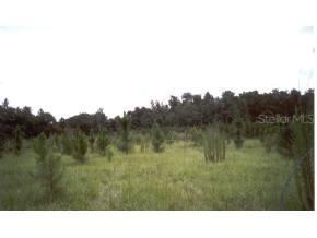 4000 NW 169th Place, Alachua, FL 32615