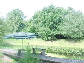 12424 NW County Rd 231, Gainesville, FL 32609