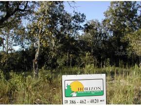 NE 40th Street, Williston, FL 32696