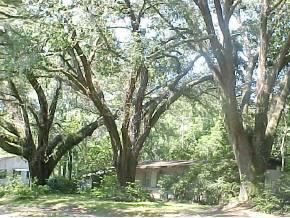 1910 NW 55 St St., Gainesville, FL 32605