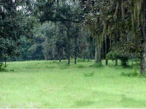 NW Cr 340, High Springs, FL 32643