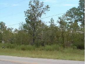 NE 105th Ave, Bronson, FL 32621