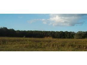 SW 154th Street, Gainesville, FL 99999